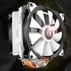Foto 7 di 7
