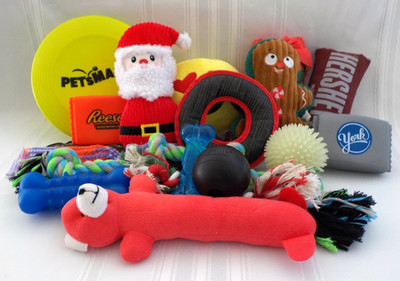 Dog Toys Used MixLot 18 Kong Rope Dollar Tree Hershey Vibrant Life Plush Squeaky