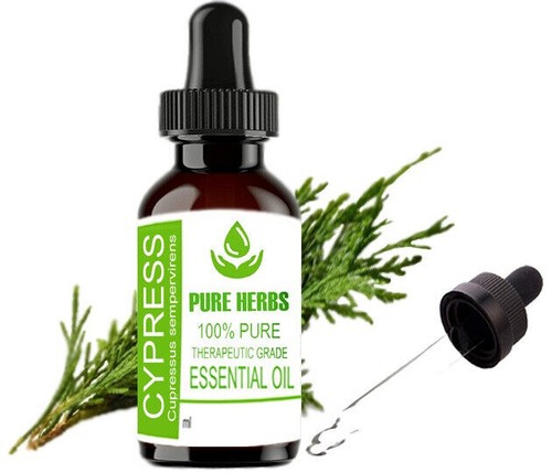 Aceite esencial de ciprés 100 % puro y natural de hierbas puras Cupressus Sempervirens - Imagen 7 de 30
