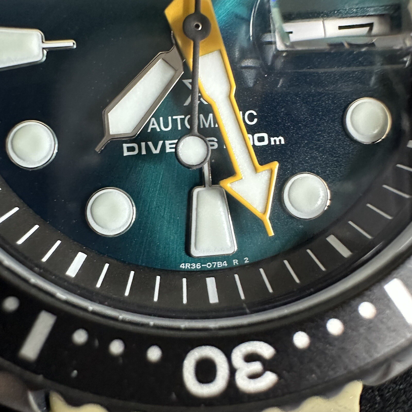 seiko sea grape
