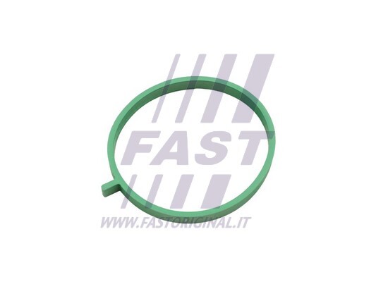 FT49472 Fast Dichtung, AnsaugkrüMmer FüR Fiat,Opel-image