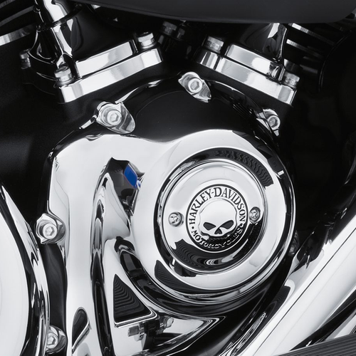 Harley Davidson Willie G Skull Timer Cover M8 25600066 eBay