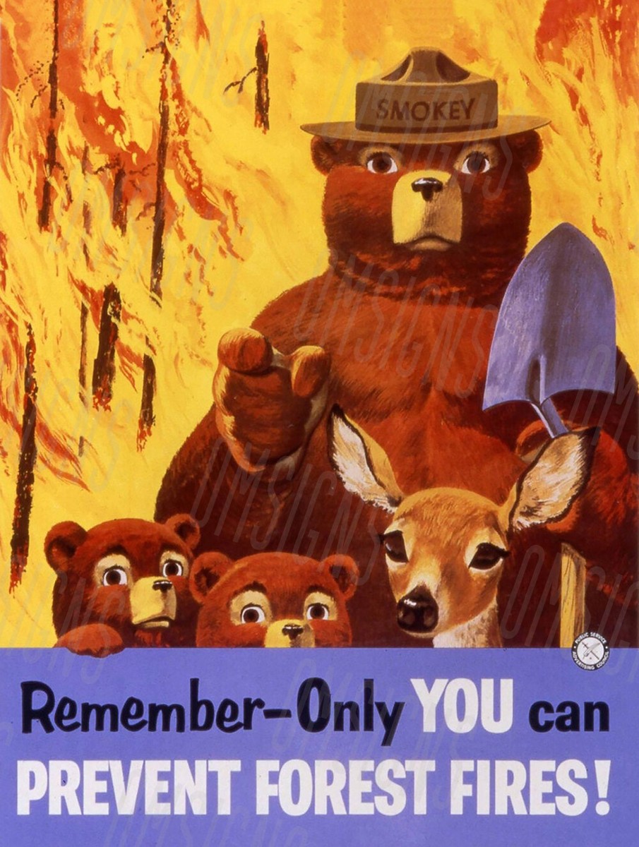 Vintage Smokey The Bear Poster Reproduction Metal Sign | eBay