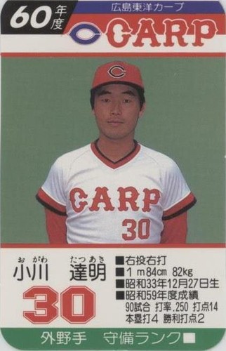 Hiroshima Toyo Carp Wall Calendar 2021 Official Japan Baseball