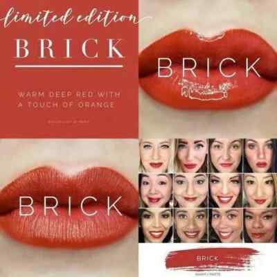 LipSense Brick Long Lasting Liquid Lip Color New & Sealed by Senegence Irvine