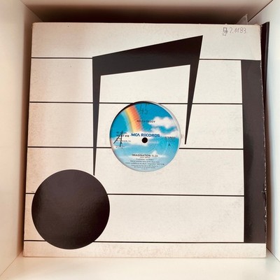 Helen Reddy - Imagination (12'') (Very Good Plus (VG+)) - 3917792293