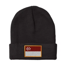 Beanies for Men Singapore Embroidery Asia Winter Hats Women Acrylic Skull Cap