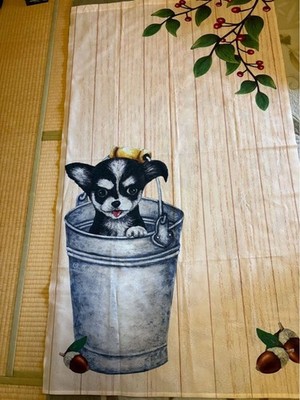Chihuahua Goodwill Collectible Dog Toy  1 Month Shabby Chic