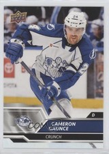 2019-20 Upper Deck AHL Cameron Gaunce #59 2o7
