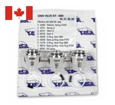 33820 Valve Kit Genuine OEM for Cat Pumps 56, 57, 59, 60