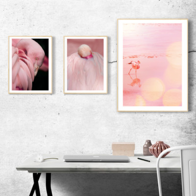 JUNIWORDS Poster ''Flamingos'' Tiere Arten Safari Natur Animals DIN A4 A3 A2 A1 