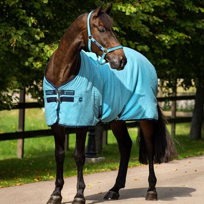 Manteau De Pluie Imperméable Amigo Pour Chien - Toutes Tailles (XXXS-XXXL) - Couleur Marine/Fig