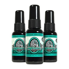 Bluntpower Air Freshener Blunt Power Spray, Ocean Breeze (Pack of 3)