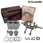 Fits Polaris Ranger Sportsman 700 Engine Rebuild Kit Crankshaft Cylinder Piston
