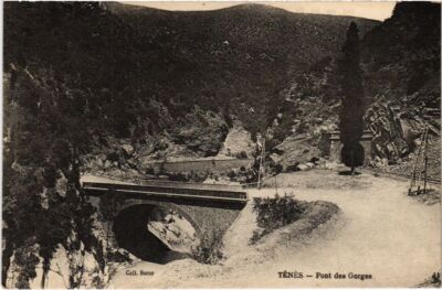 CPA ALGERIA TENES Pont des Gorges (1189859)