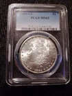 my sister's silver lot, she is firm on price , toned Morgan lot