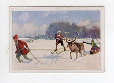 Cigarette Card c1930 Reindeer and Sleigh racing Sweden