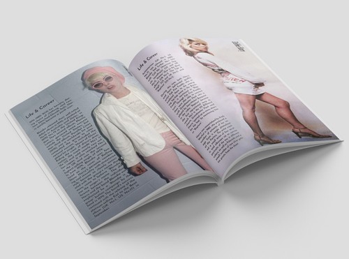 Debbie Harry, Blondie Biography Photo Book personalised - Picture 4 of 16