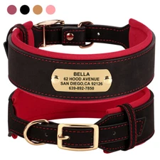 Personalized Wide Leather Dog Collar Soft Padded for Large Dogs Name Engraved XL
