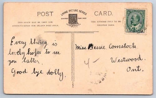 Language Of Flowers, Pansy, You Occupy My Thoughts, Antique H Garner Postcard - Picture 2 of 2
