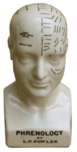 Phrenology Ceramic Head Bust Crackled Finish Medical Doctor Office Gift 25 cm UK - Picture 1 of 5