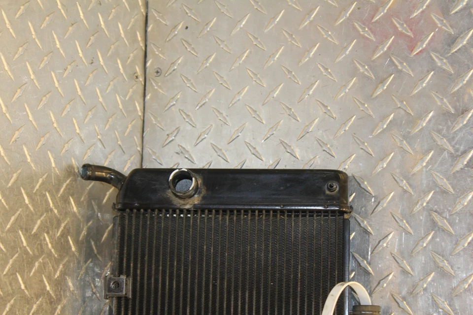 Yamaha FZ6R 2009 motor radiador motor enfriador refrigeración radiador doblado Foto 2 de 4