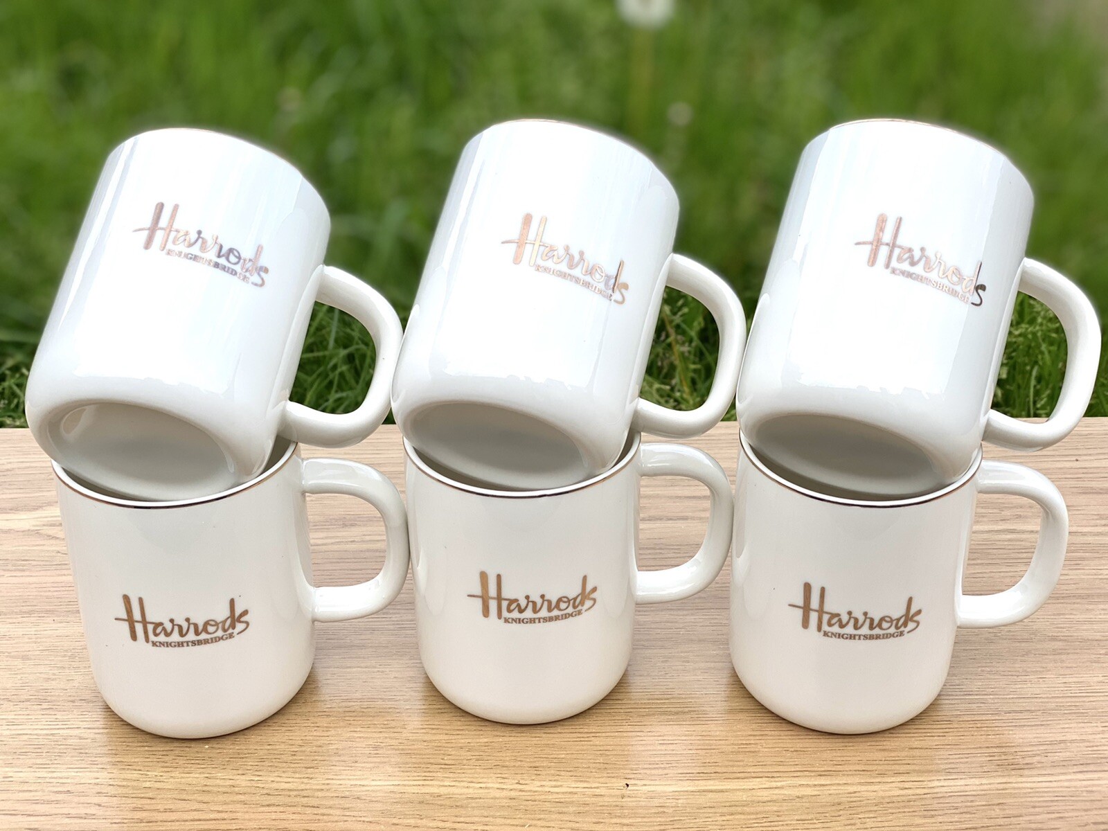 Harrods 食器 Harrods Bone China Enchanted Emporium Botanical Espresso Cup and