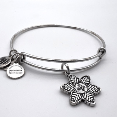 Alex and Ani Women's Star Flower EWB Bangle Bracelet Rafaelian Silver Expandable