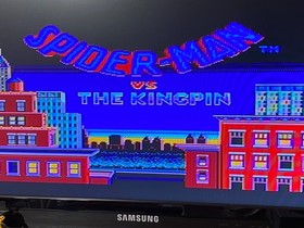 Sega Master System  Spider-Man Game  No Manual Works in US REGION FREE PAL !!!!!