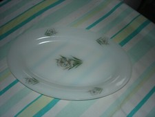 Très joli PLAT ovale en arcopal représentant des narcisses