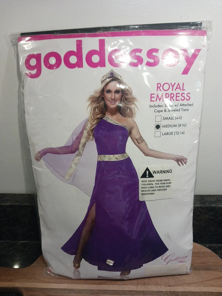 disney princess fancy dress adults ebay Disney Princess Cinderella Drisella AdultHalloween Costume Large 12-14