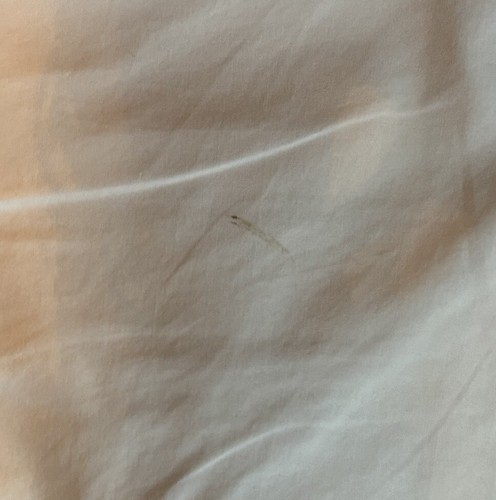 J Crew White Bow Shorts - Picture 6 of 6