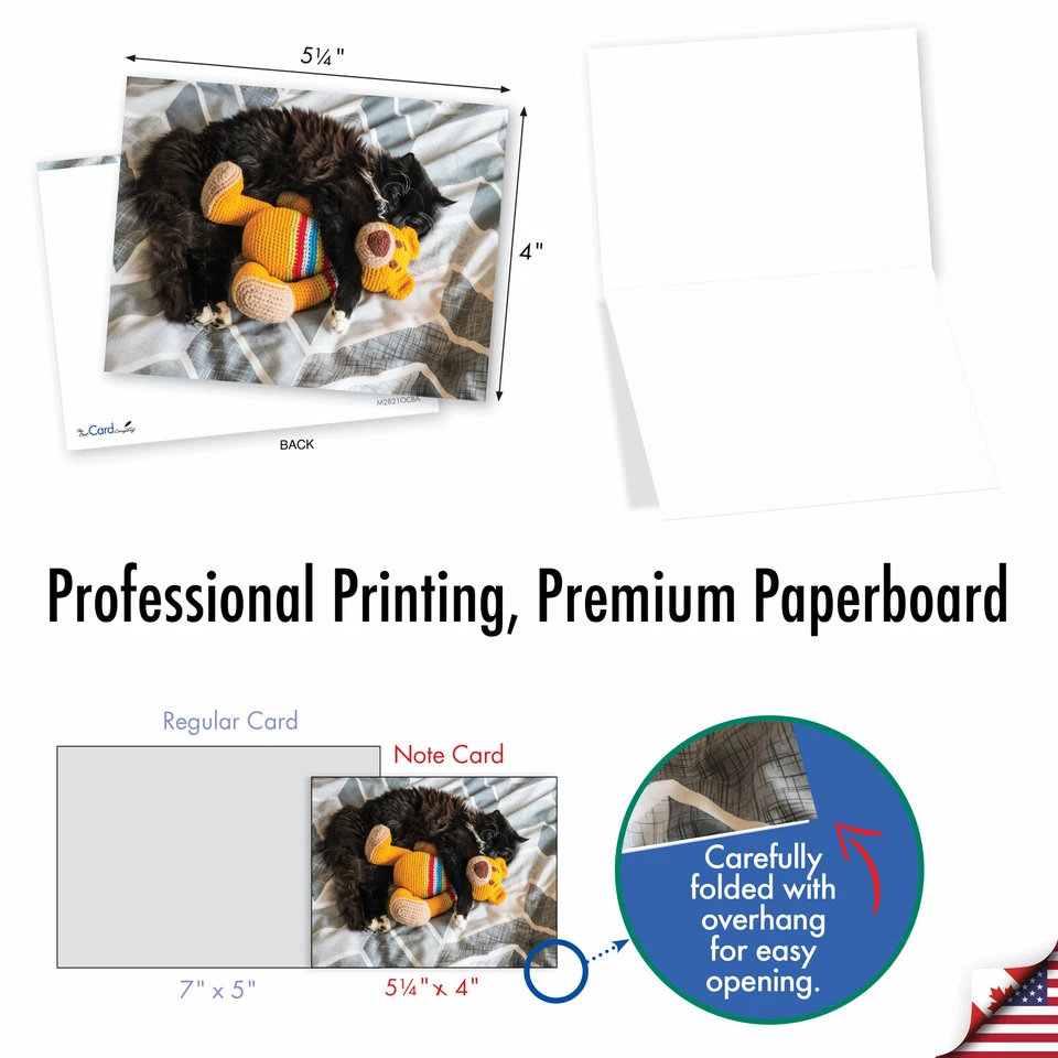 20 пустых карточек 4x5,12 дюйма с конвертами (10 дизайнов, по 2) Teddy Cat - Изображение 2 из 4