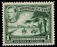 BRITISH GUIANA GVI SG308, 1c yellow-green, M MINT. Cat £22.