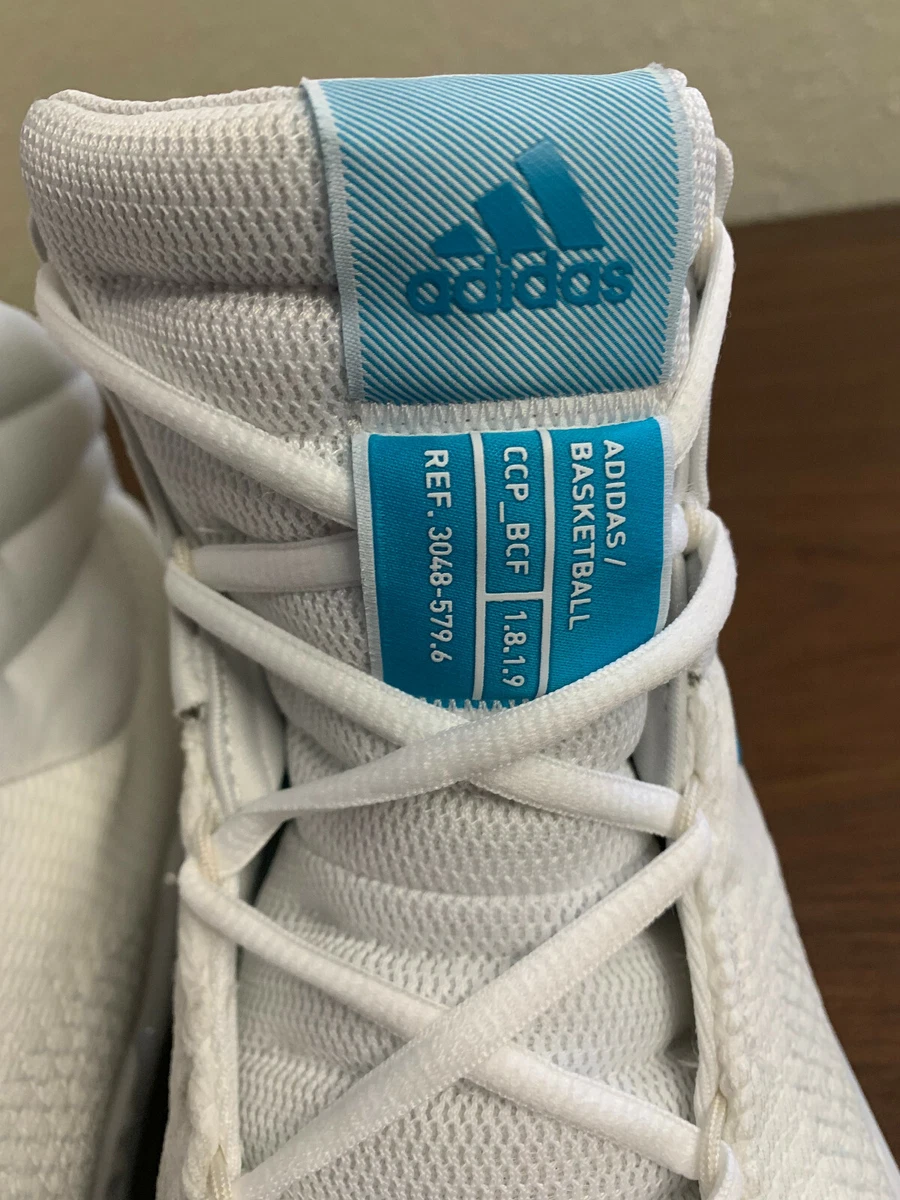 Adidas basketball hotsell ccp