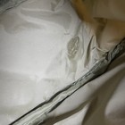 Bild 8 von 17