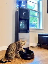 BRAND NEW Primo Pet Station Water Dispenser 601243-C | Hot & Cold + Pet Bowl