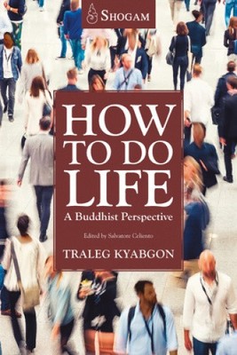 How to Do Life: A Buddhist Perspective by Kyabgon, Traleg [Paperback]