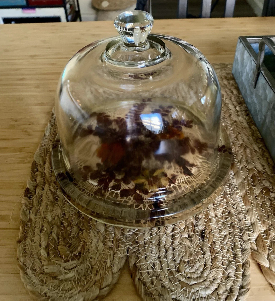 Cheese Plate Dome for sale | eBay