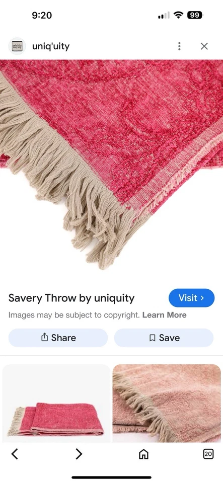 UNIQUITY SAVERY THROW PINK PAISLEY COTTON/VISCOSE BLANKET PRE-OWNED $500 - Image 4 of 4