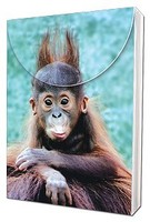 Baby Orangutan Pocket Pal By Planet Zoo on sale Baby Orangutan Pocket Pal By Planet Zoo on sale