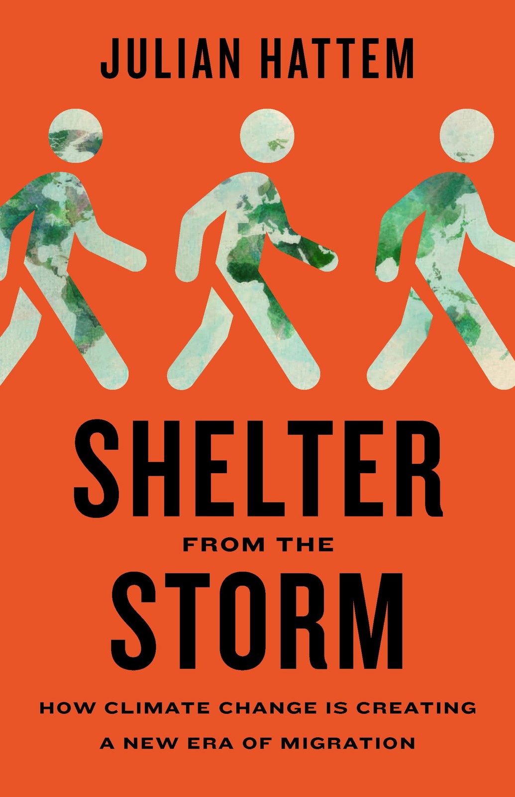 Shelter from the Storm by Julian Hattem HARDBACK - Image 4