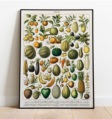 1897 French Retro Art Decorative Fruit Adolphe Millot Wall Poster Kitchen Decor