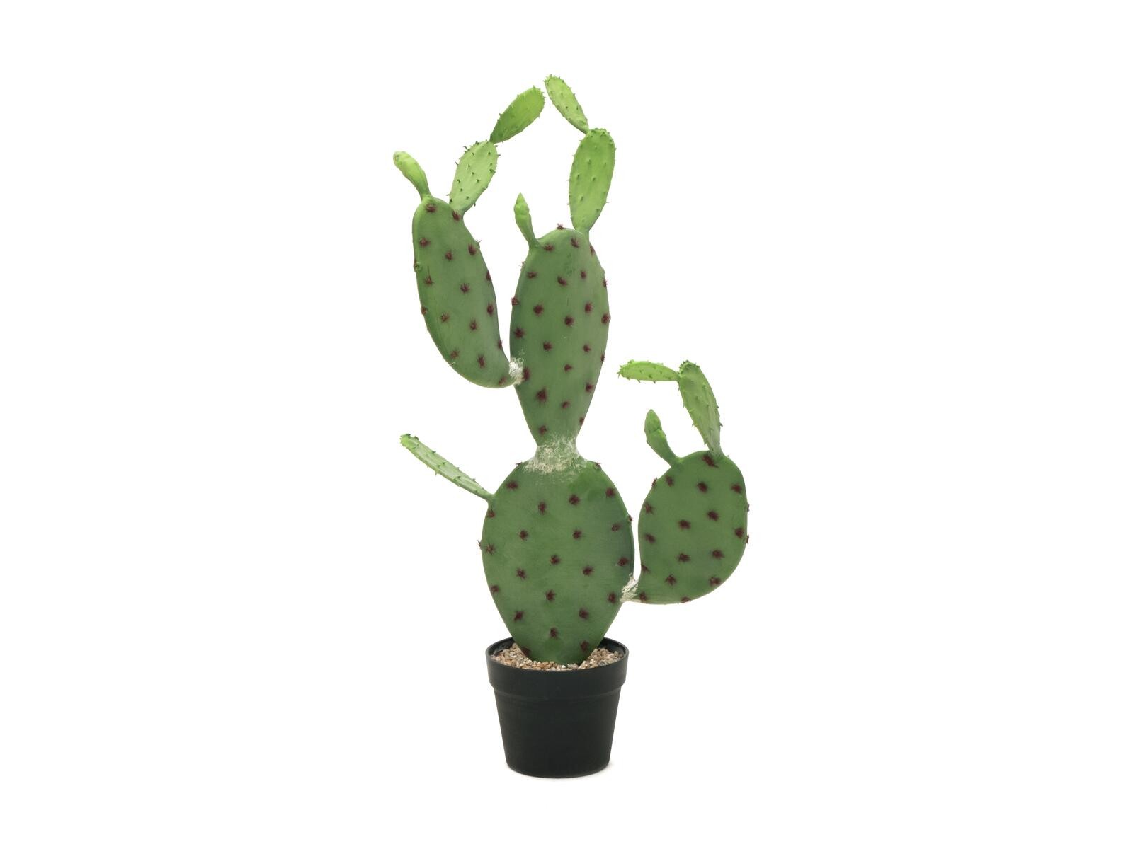 EUROPALMS Nopal Cactus Artificiale 75cm - Pianta Decorativa per Interni ed Ester