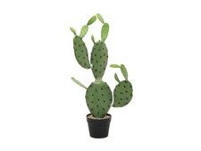 EUROPALMS Nopal Cactus Artificiale 75cm - Pianta Decorativa per Interni ed Ester