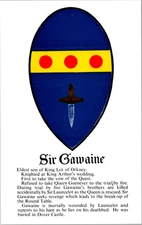 Sir Gawaine King Arthur's Hall Souvenir England UK Unposted Postcard D93