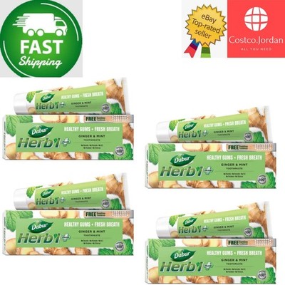 4er Pack X Dabur Herbal Natural Ginger & Mint Zahnpasta + GRATIS Zahnbürste