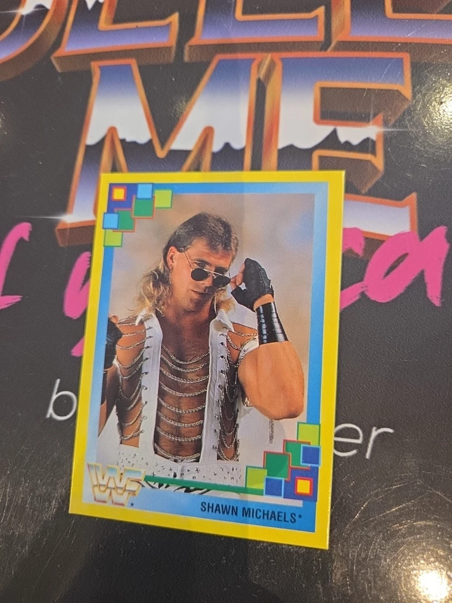 Carte Mister Perfect # 27 Merlin Trading Card Wwf Catch Superstar 1992