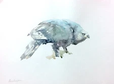 Hawk-eagle,  Birds, Watercolor artwork, Handmade, Original painting on paper
