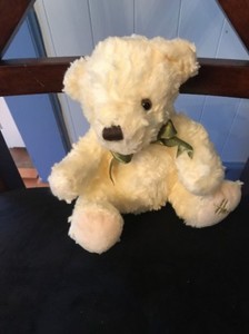 teddy bear in store
